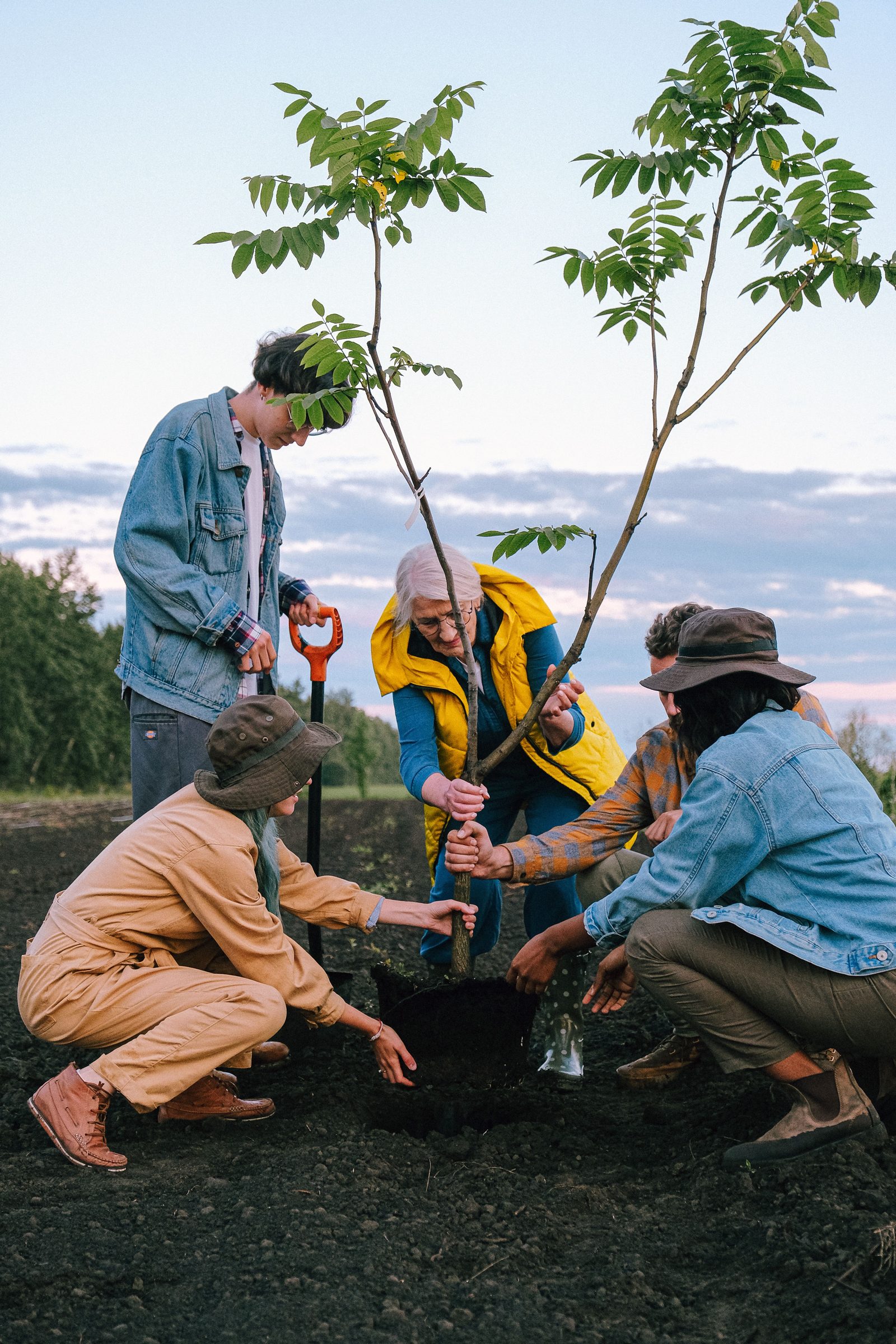 A multigenerational group plants a young tree together at dusk.